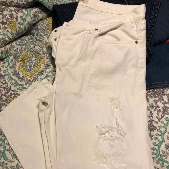 Gap , vineyards and America eagle bundle get all - Picture 1 of 8